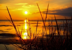 Poster (S848) Sonnenuntergang