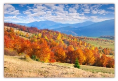 Poster (F217) Herbstbild