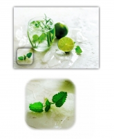 XL Poster (F252) Limette, Minze und Eis
