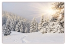 Poster (F220) Winterlandschaft